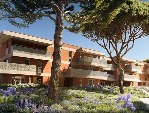 Domaine-Les-Hauts-Pins-2