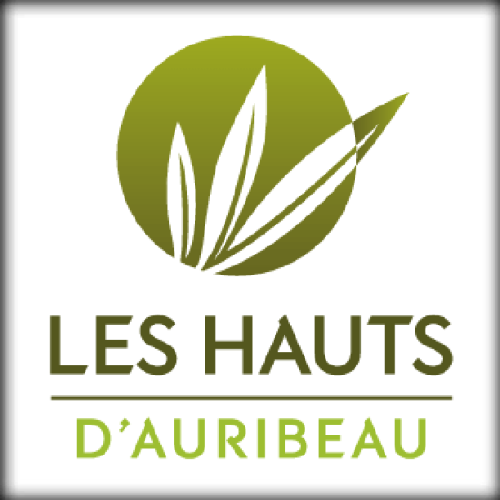 chrome_screenshot_efaidnbmnnnibpcajpcglclefindmkaj-5 (1)