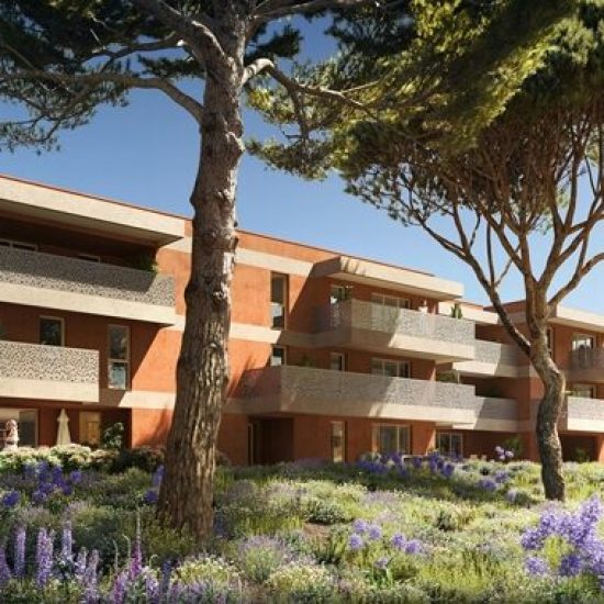 Domaine-Les-Hauts-Pins-2